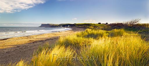 ballycastle beach grass pano.jpg